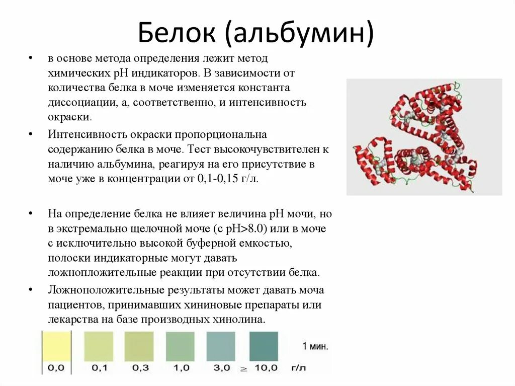 Группы крови содержание белков. Альбумин строение белка. Альбумин строение структурная формула. Альбумин функция белка. Сывороточный альбумин человека функции.