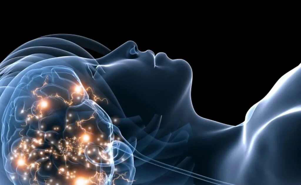 Sleeping brains. Сон и мозг. Сон и мозг человека. Сновидения мозг.