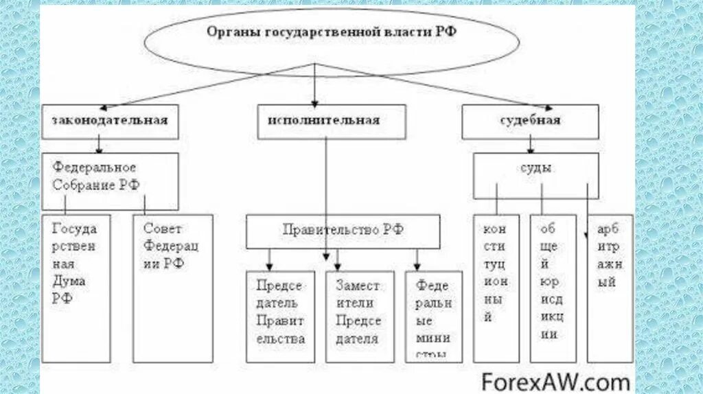 Содержание власти в рф. Структура органов власти РФ схема. Система государственной власти в РФ схема. Высшие органы государственной власти в РФ схема. Схема структура высших органов власти РФ.