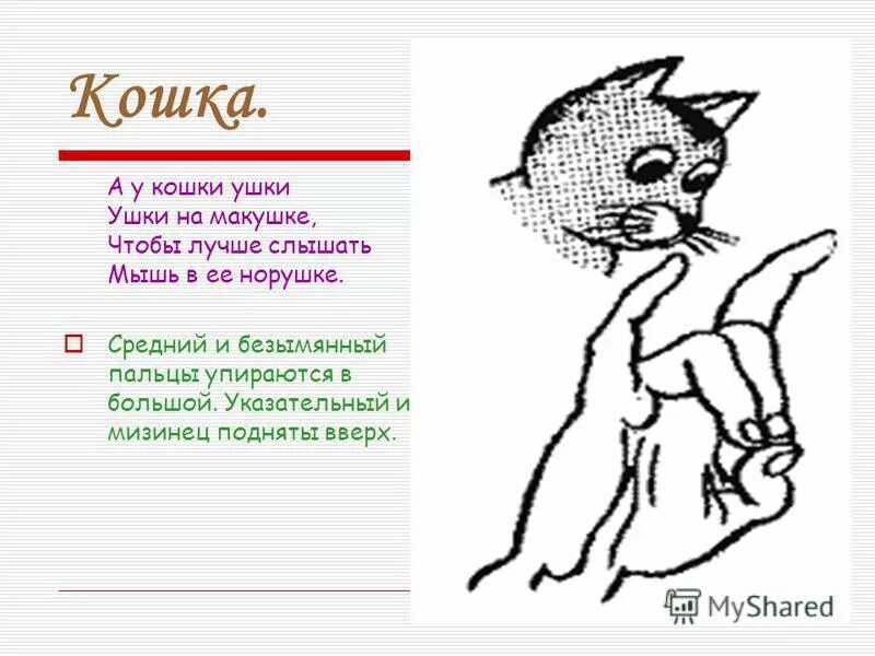 Ушки на макушке хвостик. Ушки на макушке песня текст. Пропоем мы вам частушки слушайте внимательно. Песня ушки на макушке хвостик пистолетом. Ушки на макушке песня детская текст.