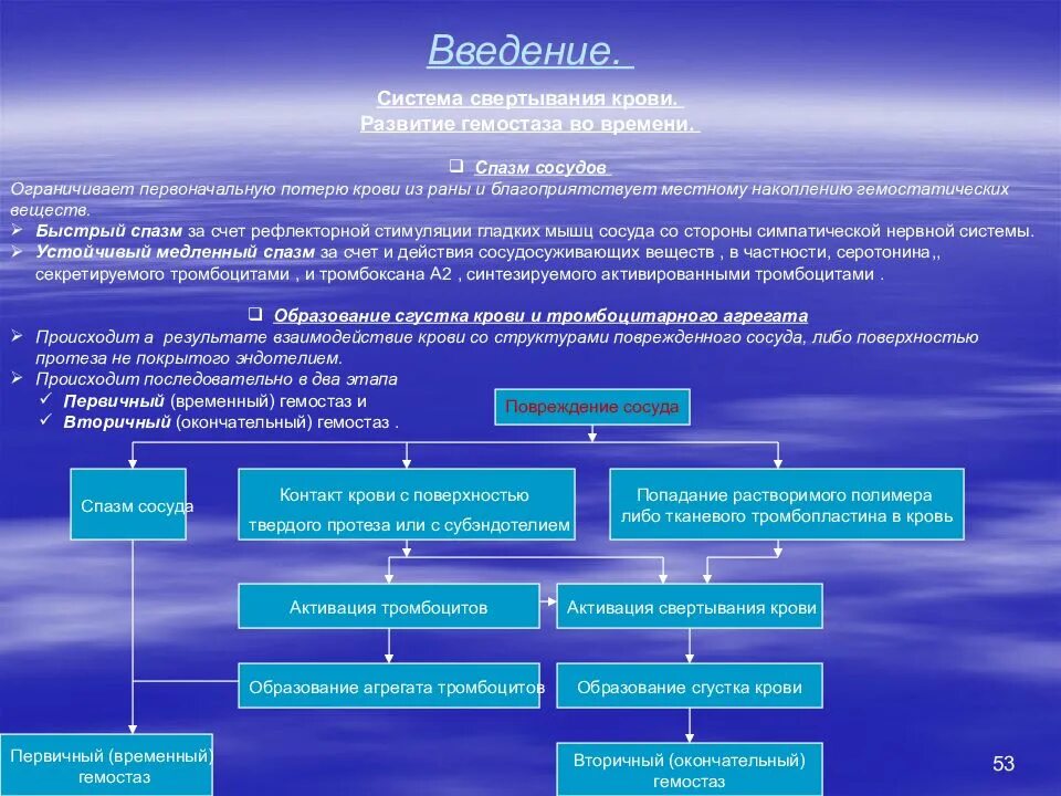 Этапы проведения биологического эксперимента. В ходе биологического эксперимента 16 мг. Этапы организации эксперимента. В ходе биологического эксперимента 16 мг. Этико правовое регулирование экспериментов на человеке.