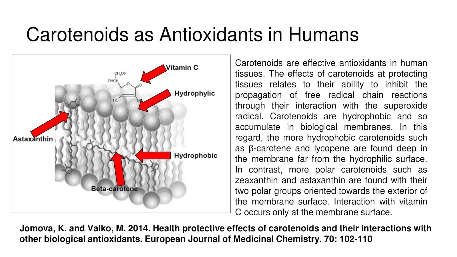 Antioxidant journal