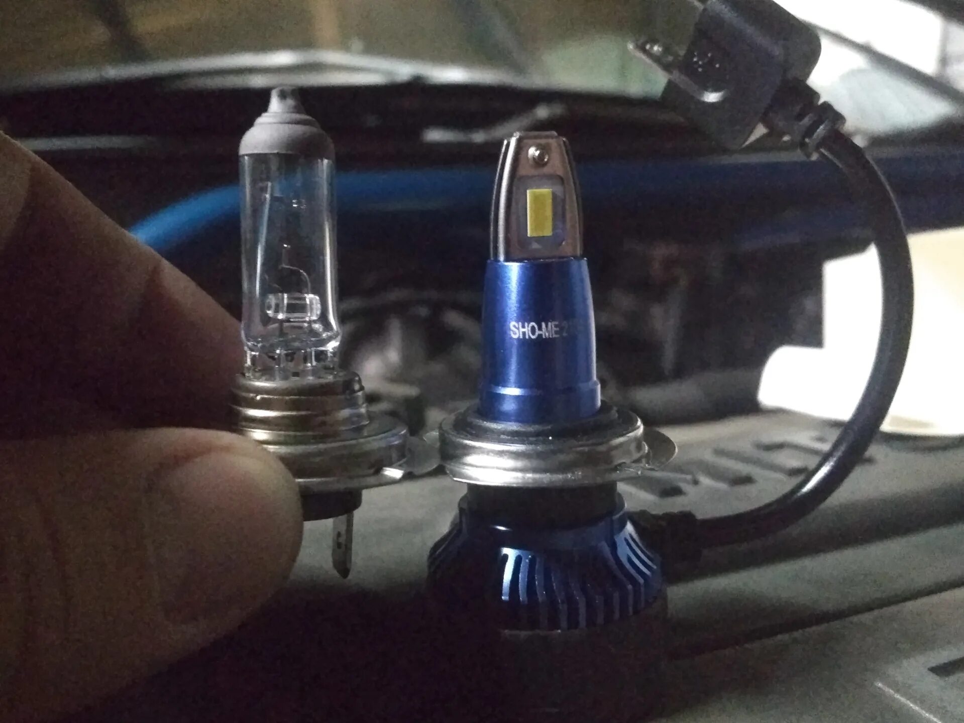 Светодиодные лампы h7 sho-me. Hb4 sho-me led. Sho-me g5 lite h1. Светодиодные лампы sho-me g7 h7. Лампа шо ми.
