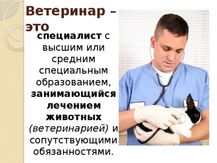 Ветеринар сочинение
