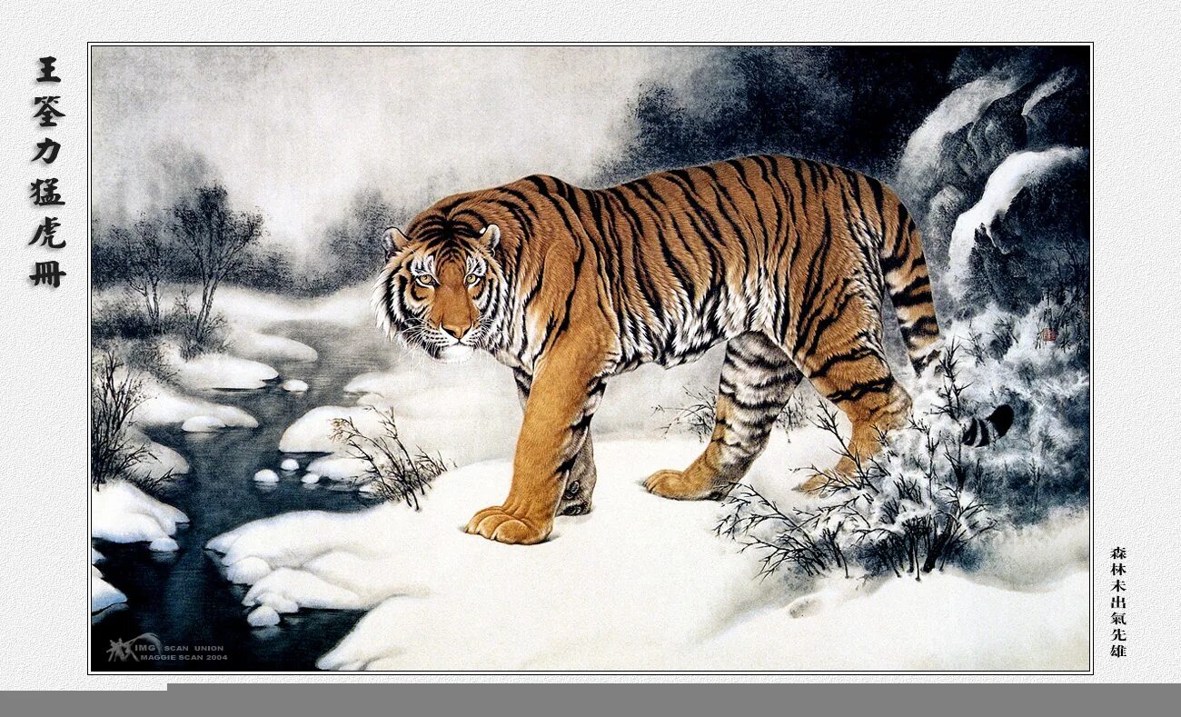 Тигр картины художников. Тигр в тайге рисунок. Тигр сепия. Японская гравюра тигр. Ли тайгер