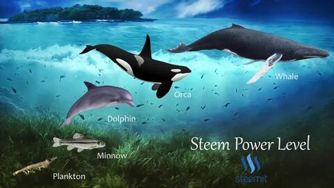 Than whales