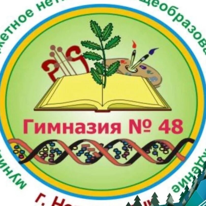 Гимназия 48. Гимназия 48 Челябинск. Новокузнецк, гимназия № 48.