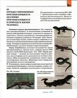 Значение чешуйчатых
