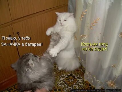 Костьми лягу