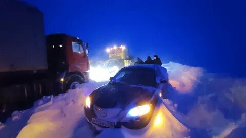 На полевой дороге мне попались навстречу две