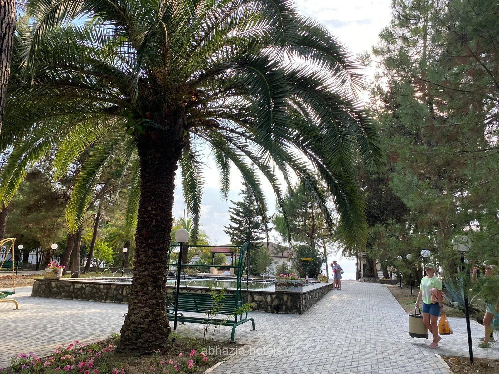 Тпитеус отель пицунда. Отель апра в пицунде фото. Тополевая ул 2 пицунда. Отель апра в пицунде фото. Пицунда бронирование.