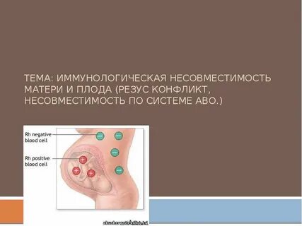 Иммунная несовместимость