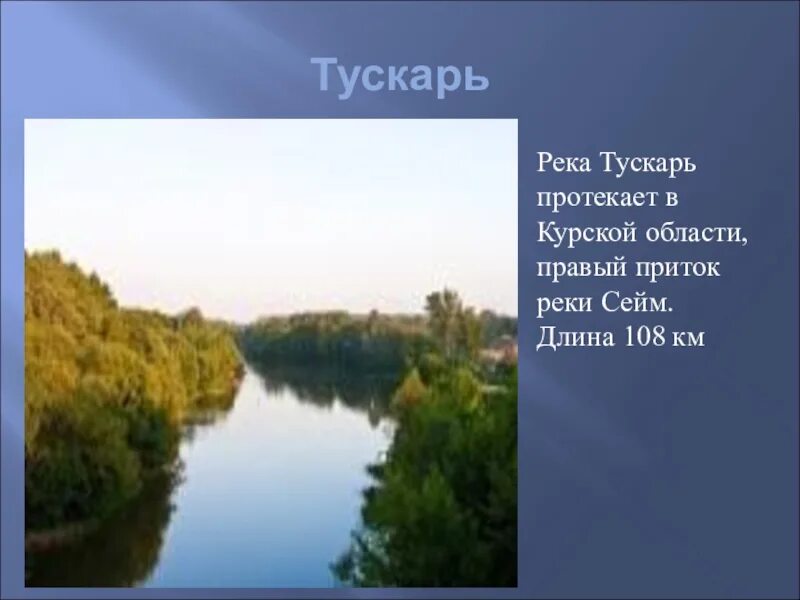 На какой реке стоит курск. Речка сейм курск. Природа сейм курск. Реки курской области. Курск родник на реке тускарь.