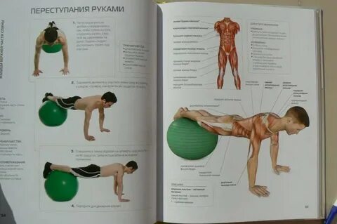 Упражнения pdf