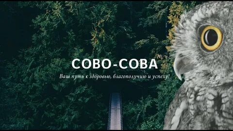 Сово сова