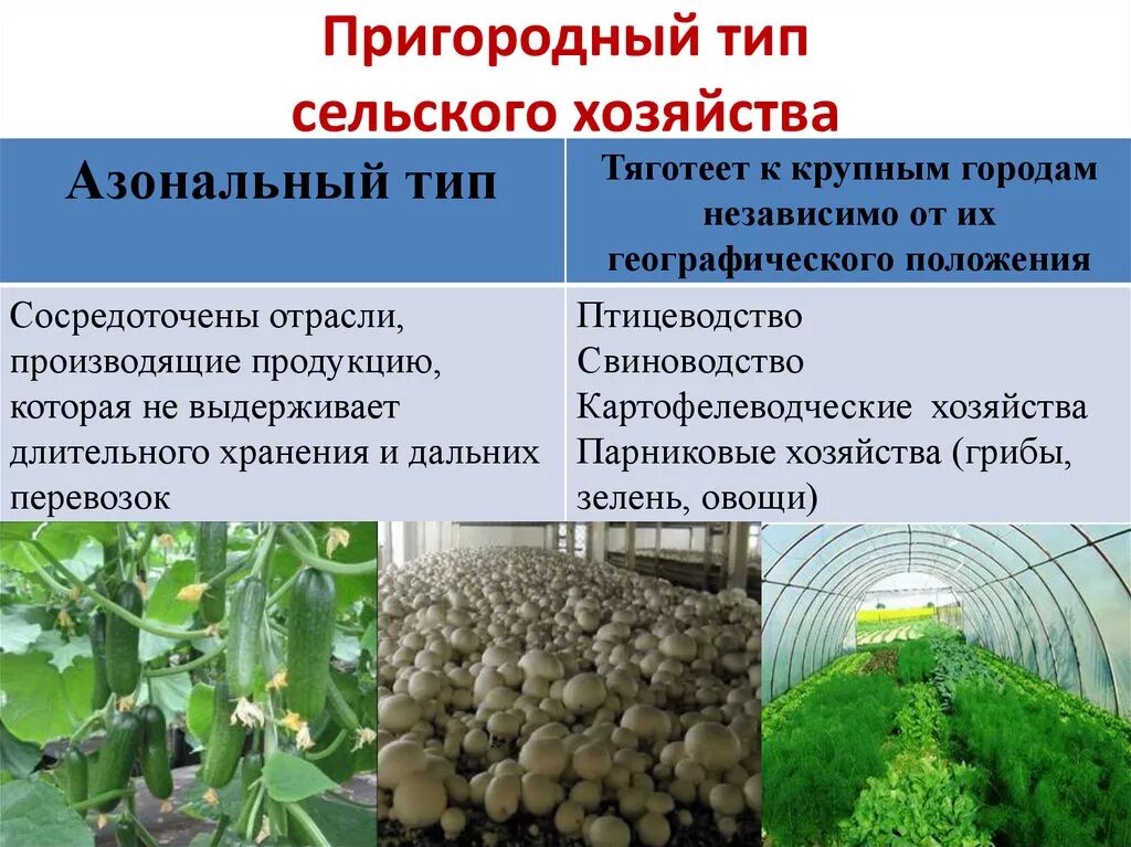 Природно хозяйственные отрасли. Виды растениеводства. АЗОНАЛЬНЫЙ Тип сельского хозяйства это. Отрасли растениеводства и животноводства. Отрасли пригородного животноводства.