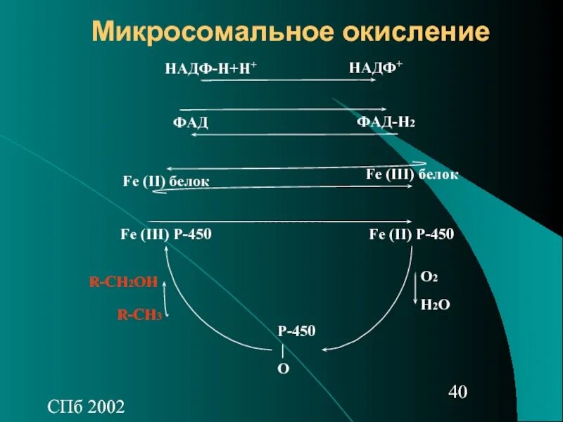 Расщепляется надф н2. Микросомальное окисление. микросомальное окисление биохимия. окисление надф. реакции микросомального окисления.