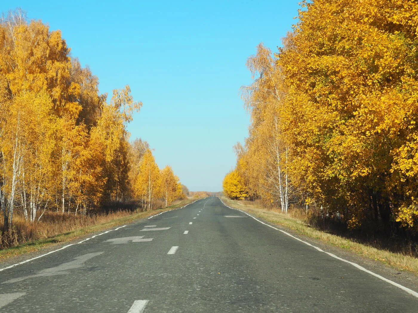 Круг по осенней дороге домой. Осенняя дорога. Осень в России. Трасса. Осень трасса.