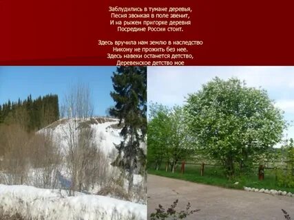 Дерева вы мои дерева текст