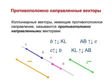 Вектор сонаправлен любому вектору это