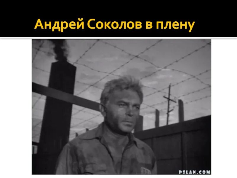 Лагерный номер андрея соколова судьба человека. Судьба человека 1959.