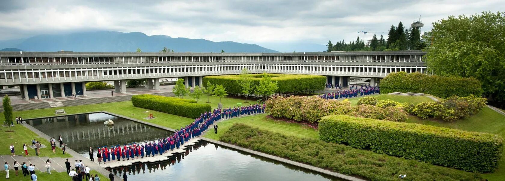 Simons university