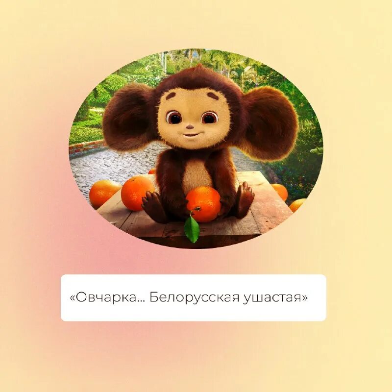 Чебурашка 2022. Чебурашка 2023. Цитаты из чебурашки 2023. Фразы из мультика чебурашка. Цитаты из чебурашки 2023.