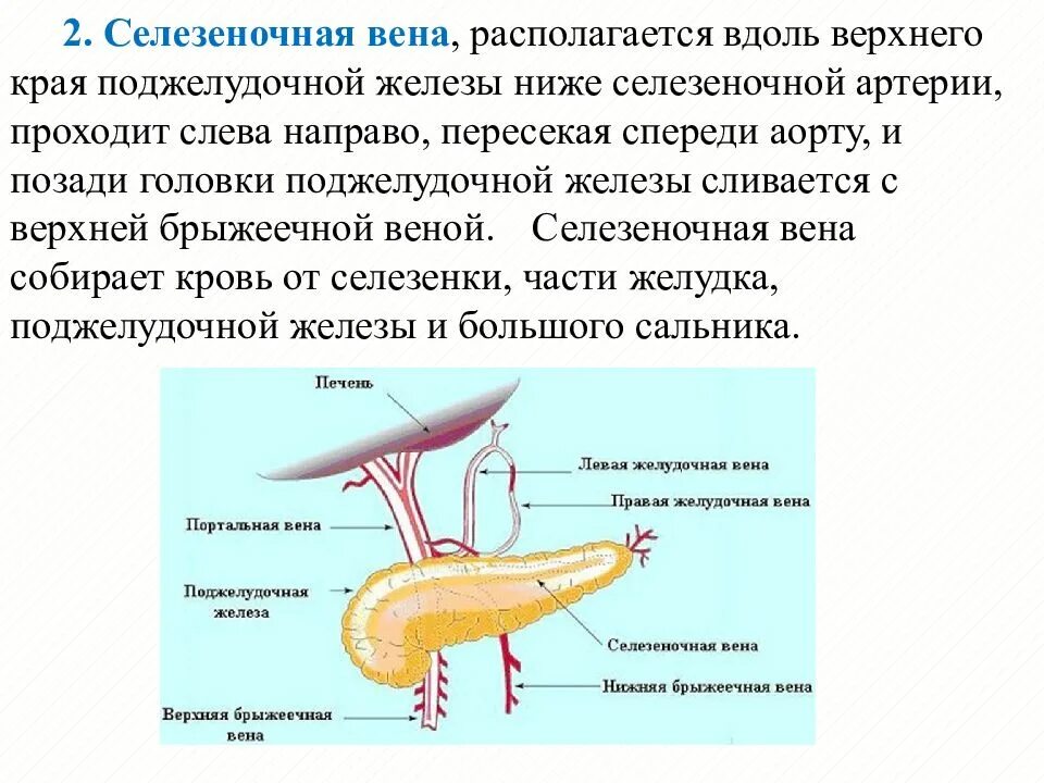 Расширение селезеночной вены