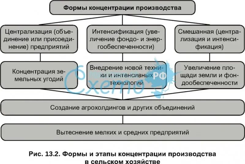 Концентрация запасов это. Концентрация производства это. Территориальная структура хозяйства италии. Концентрация населения в крупных городах. Концентрация это процесс.