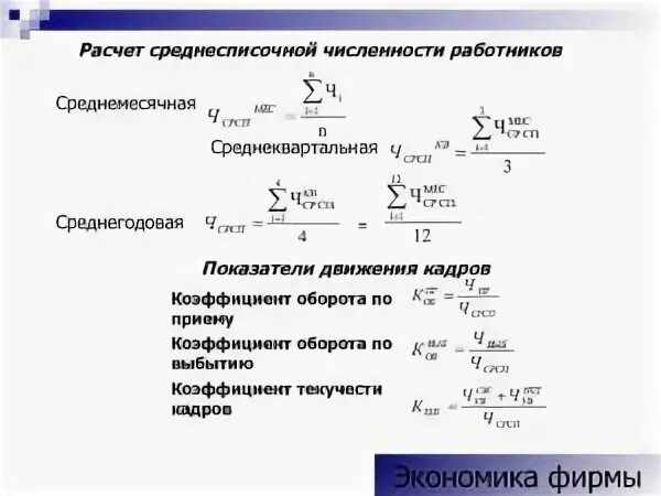 Среднее количество работающих сотрудников