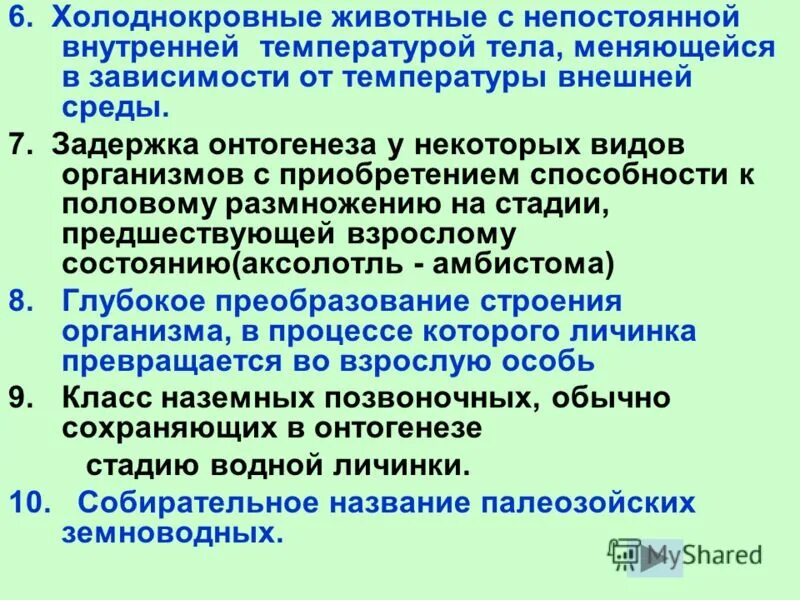 Температура холоднокровных животных. Температура холоднокровных животных