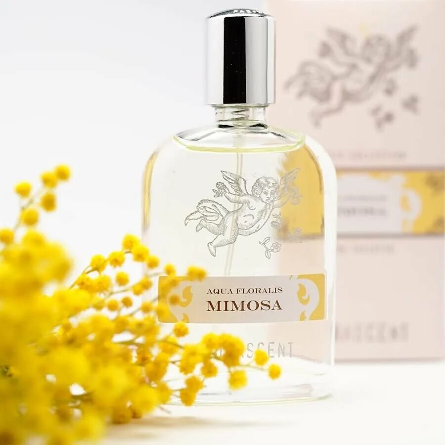 Парфюм fragonard. Духи prada de mimosa. Ароматы с мимозой. Запах мимозы духи. Запах мимозы духи.