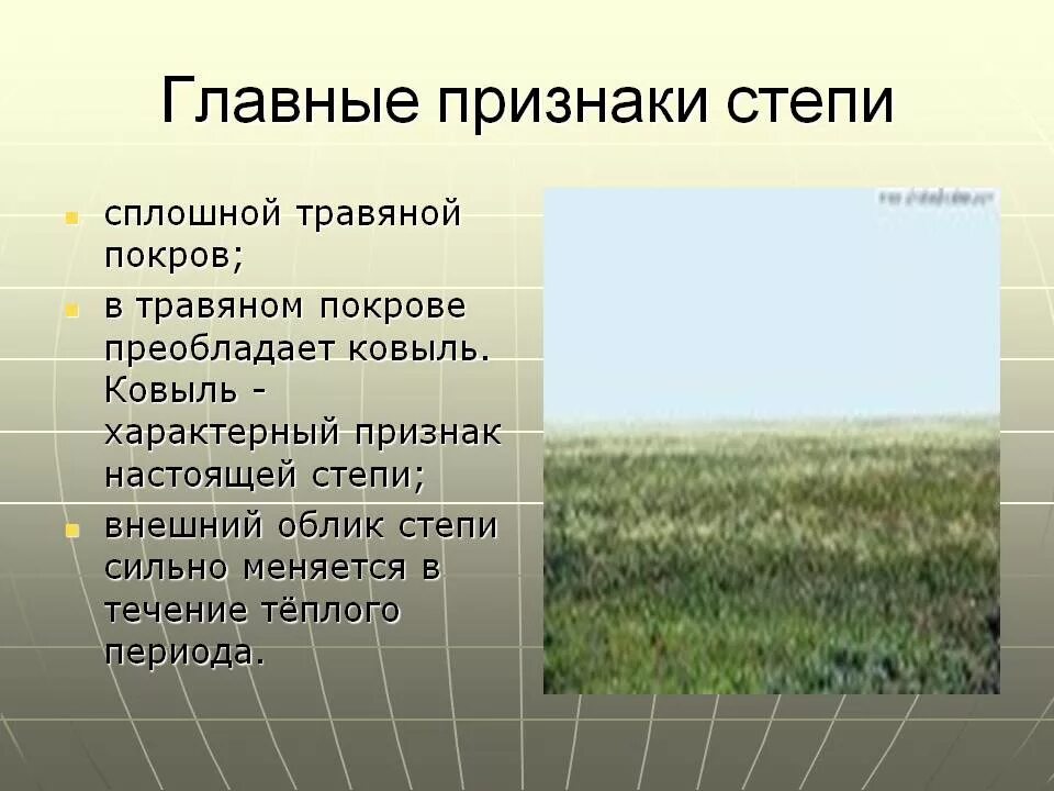 Внешний облик степи. Типичный внешний облик степи. Внешний облик степи в России. Внешний облик зоны степей. Годовой сток степи в россии