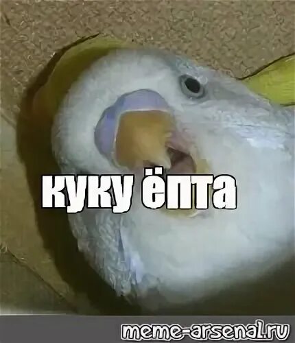 Re re на русском