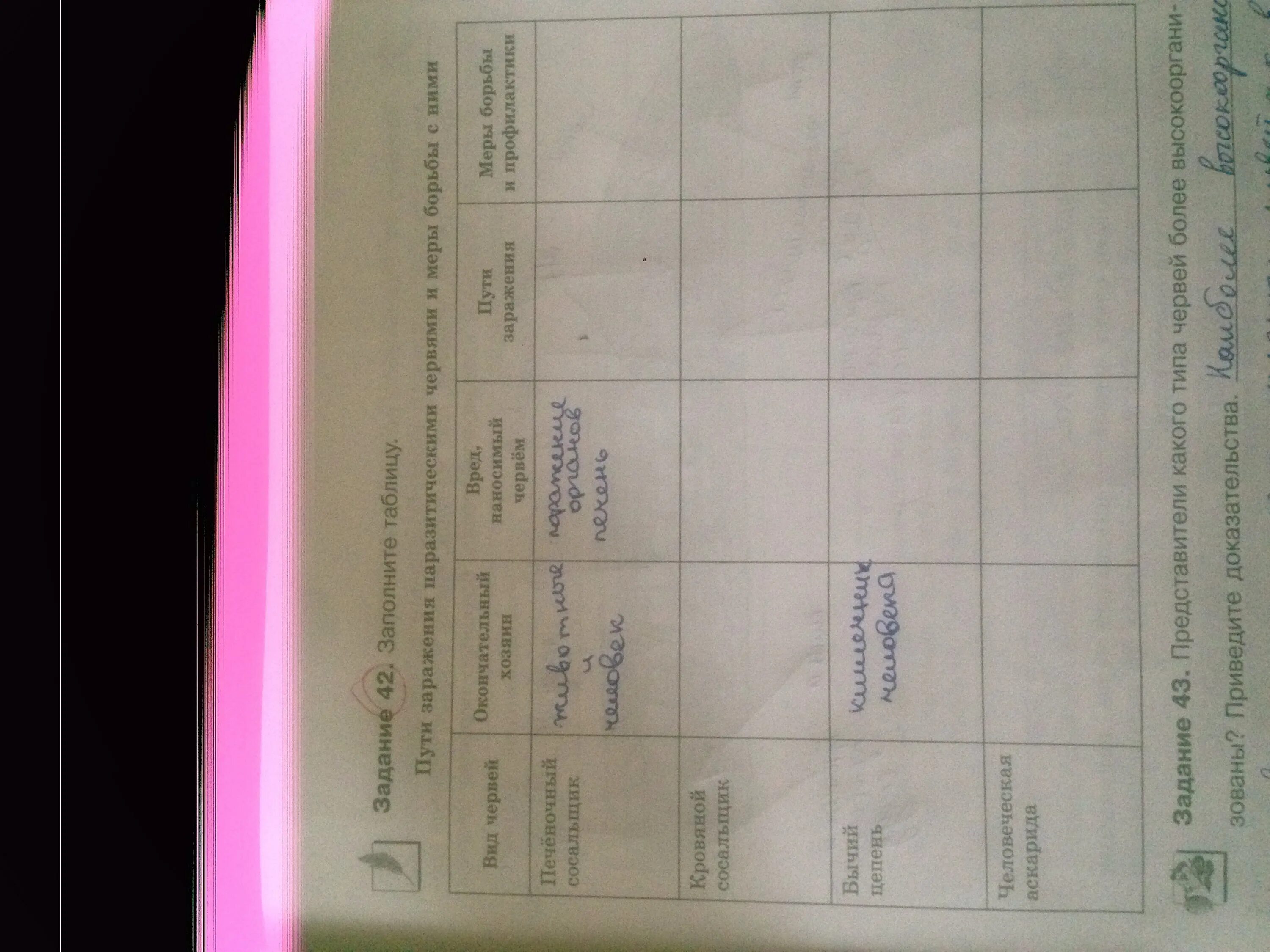 Таблица заболевание возбудитель симптомы пути заражения. Стадии развития острицы таблица 7 класс ответы. Возбудитель пути заражения меры предупреждения таблица. Простейшие паразиты человека таблица. Пути заражения и меры борьбы с паразитическими червями таблица.