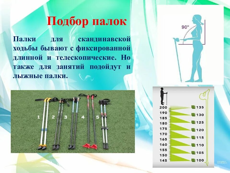 Таблица размера скандинавских палок по росту Таблица размеров скандинавских палок по росту