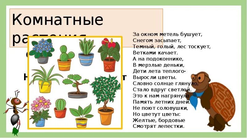 Растения из двух слов. Комнатные растения задания. Комнатные растения 2 класс. Комнатные цветы задания для детей. Комнатные растения презентация.