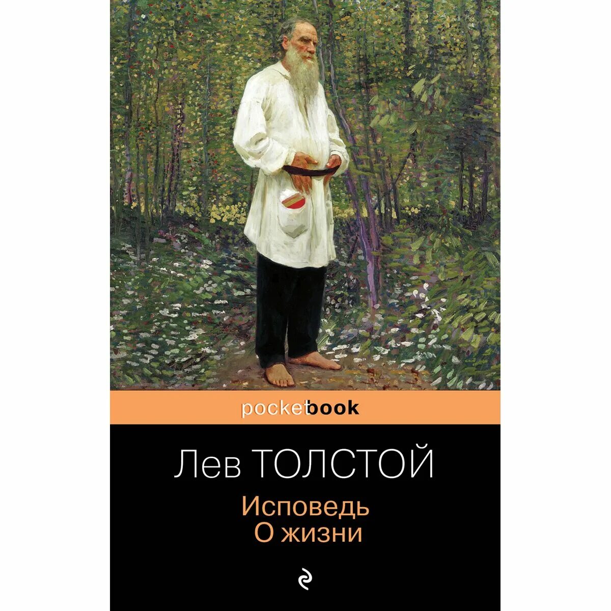 Толстой исповедь читать. Лев толстой &quot;исповедь&quot;. исповедь лев толстой книга. исповедь о жизни толстой. исповедь толстой тема.