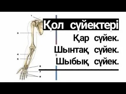 Шынтақпен жұдырықтасу фотосы