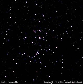 Stars grade