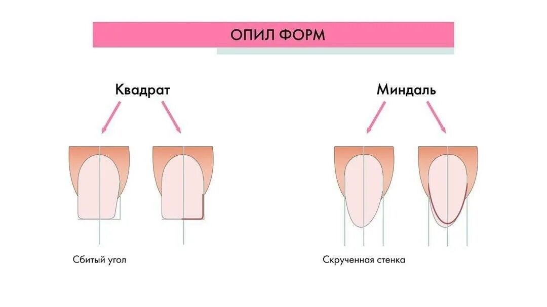 Как правильно ставить формы. Опил формы квадрат схема. миндальная форма ногтей схема опила. схема опила формы ногтей овал. схема опила формы ногтей квадрат.