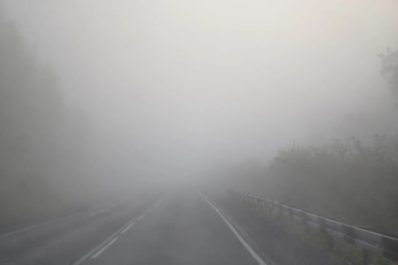 Густой туман тип предложения. Сильный туман. Дорога в тумане. Очень густой туман на дороге. Очень густой туман.