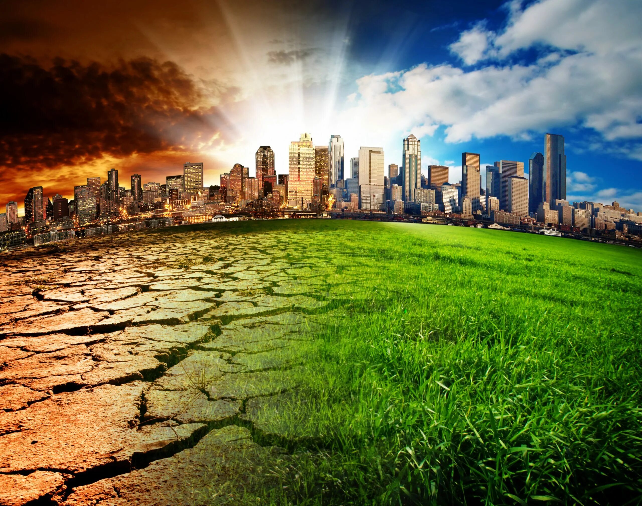 Looking at the future and the environment