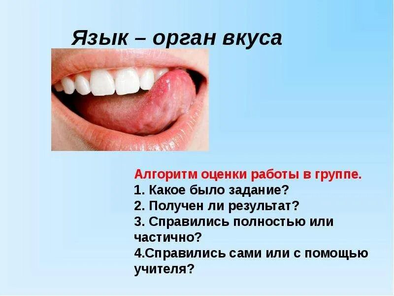 Язык орган чувств. Вкус презентация 4 класс школа 21 века. Язык орган чувств. Вкусовой анализатор презентация. Органы чувств вкус.