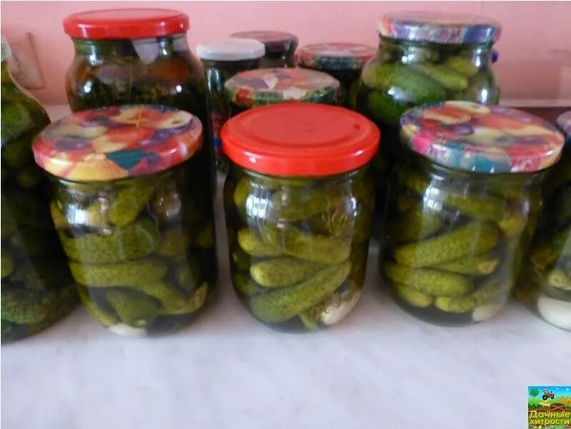 Огурчики в банке. Огурцы на зиму в банках. Огурцы в банках с морковной ботвой. Огурцы в банках магазинные. Маленькие огурцы в банке.