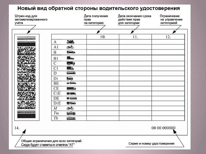 Новые водительские категории расшифровка. Категории водительских прав с расшифровкой в1 as. Расшифровка обозначений на водительском удостоверении. Что обозначает категория в1 в водительском удостоверении России.