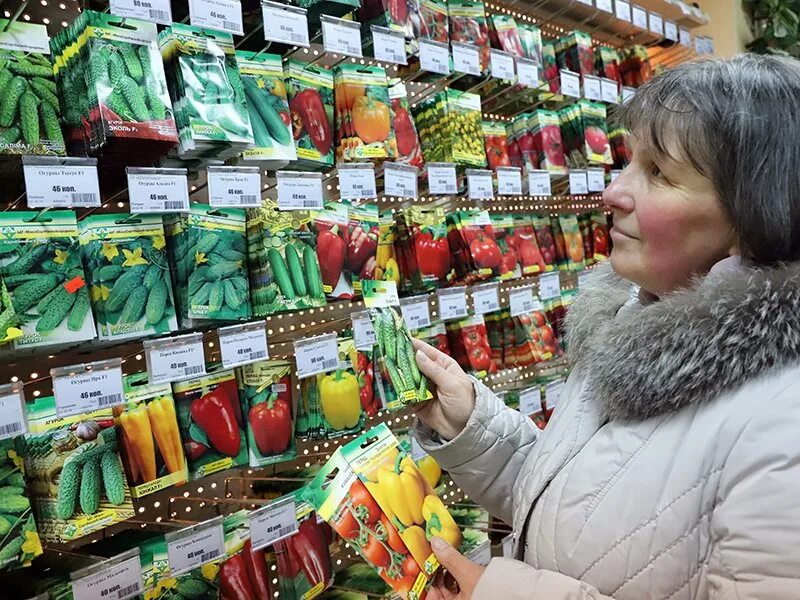Семена посадочный материал. Магазин семян. семенной и посадочный материал. выбор семян.