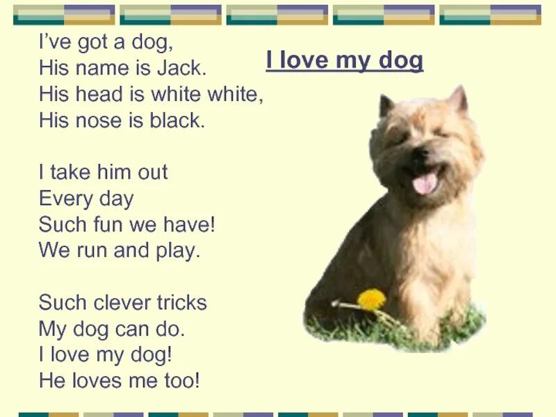 Take him out. Стихотворение my Dog. I ve got Dog стих. I have got a Dog стих. I have a Dog his name is Jack стих.