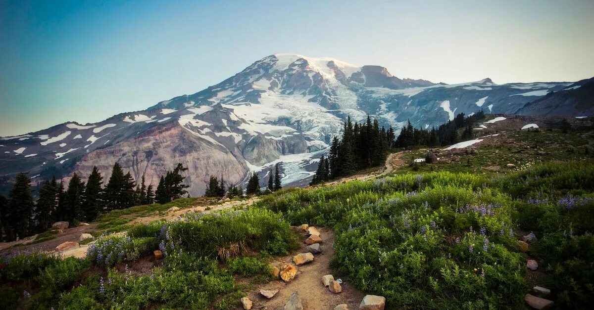 Алекса тропа. Pacific Crest Trail. Дикая тропа. Pacific Crest PDL 4500. Pacific Crest Bicycle Trail.