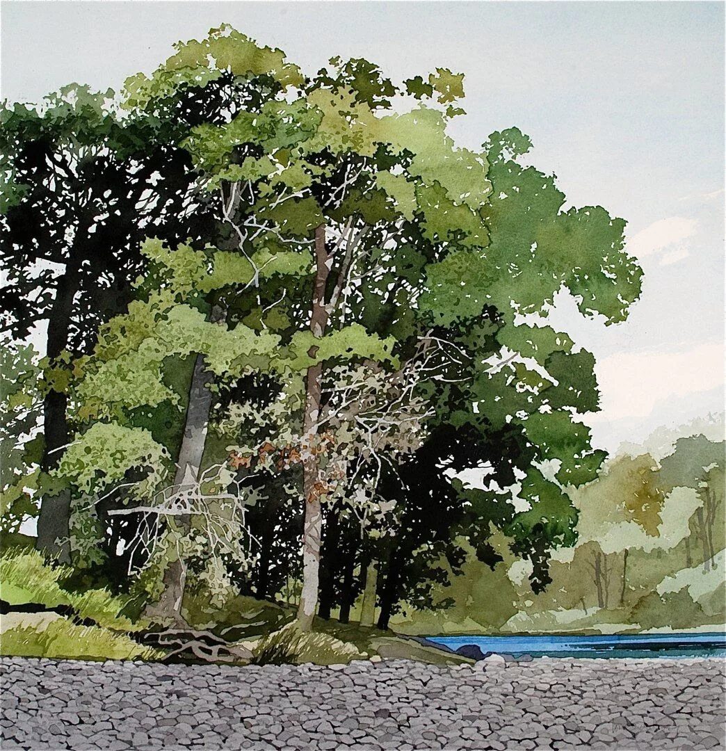 Акварельные деревья. Акварель «деревья в Санлисе» Пруста. Ian Sidaway RI. Ian Sidaway художник. Этюды деревьев акварелью.